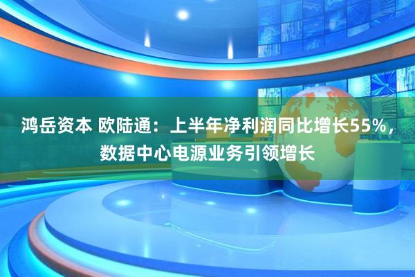 鸿岳资本 欧陆通：上半年净利润同比增长55%，数据中心电源业务引领增长