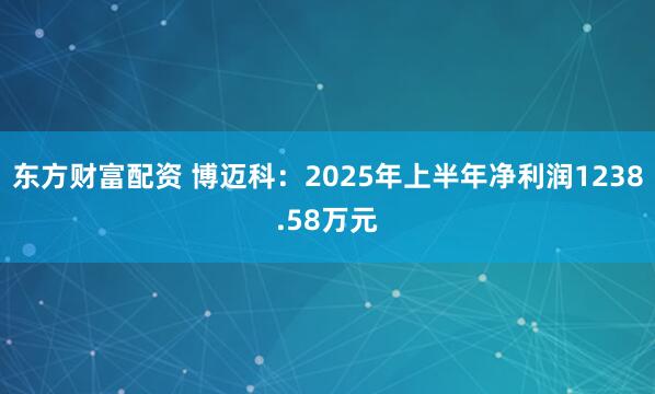 东方财富配资 博迈科:2025年上半年净利润1238.58万元